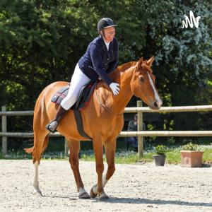 Carnets de route d'une humaine et de ses complices équins 🙏🐎🌞