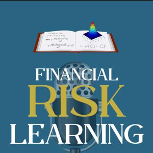 Financial Risk Learning
