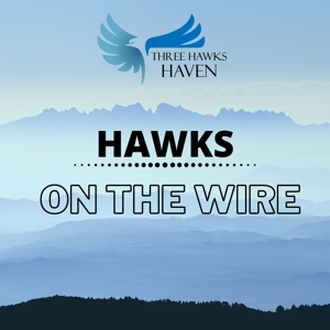 Hawks On The Wire podcast