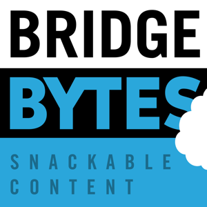 BridgeBytes