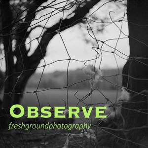 Observe