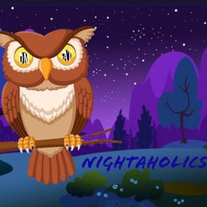 Nightaholics