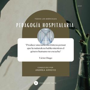 ¿De qué hablamos cuando hablamos de Pedagogía Hospitalaria?