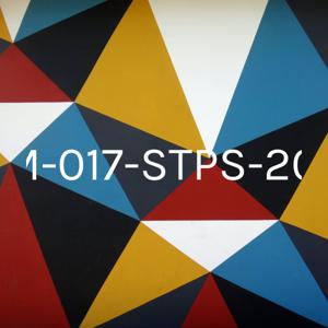 NOM-017-STPS-2008