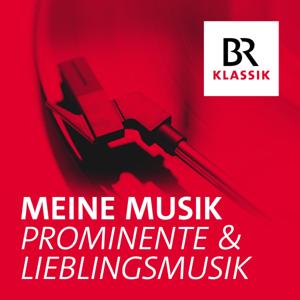 Meine Musik