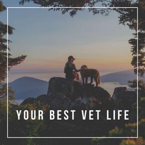 Your Best Vet Life