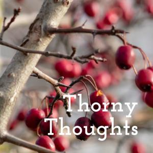 Thorny Thoughts