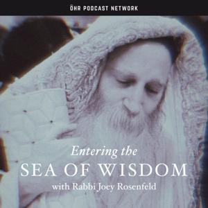 Entering the Sea of Wisdom with Rabbi Joey Rosenfeld