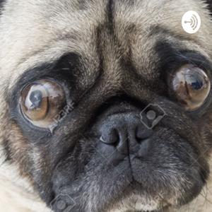POG PUG PODCAST