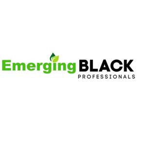 Emerging Black Professionals