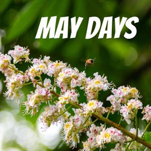 May Days