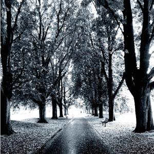 Talk Medical English