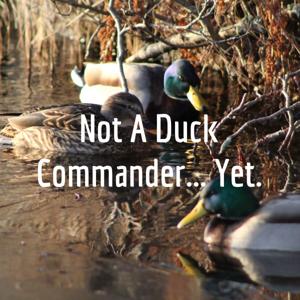 Not A Duck Commander... Yet.