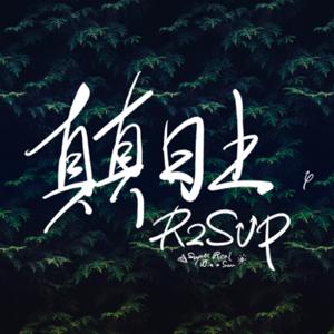 真真日上 R2SUP