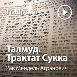 Рав Мендель Агранович  — Талмуд. Трактат Сукка