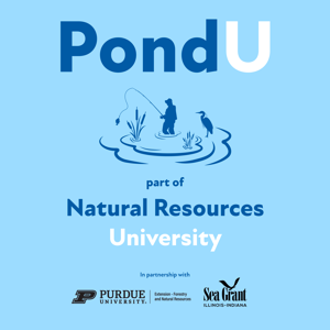 Pond University