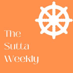 The Sutta Weekly