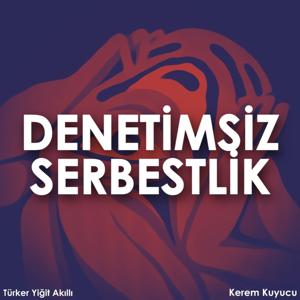 Denetimsiz Serbestlik