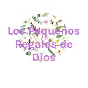 Los Pequeños Regalos de Dios