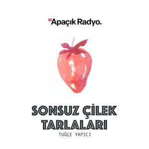 Sonsuz Çilek Tarlaları