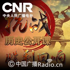 抗战历史公开课胜利回响