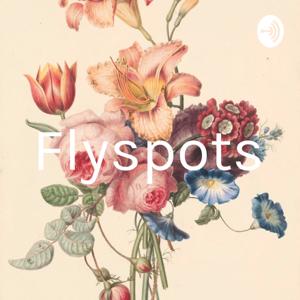 Flyspots