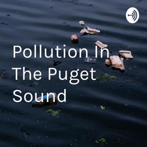 Pollution In The Puget Sound