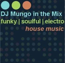 DJ Mungo in the Mix