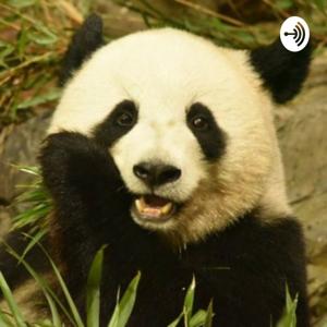 パン太郎動物園へようこそ！