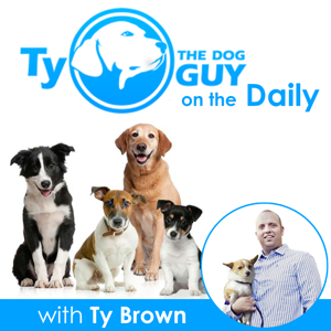 Ty the Dog Guy on the Daily