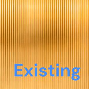 Existing