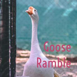 Goose Ramble