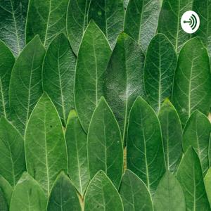 Modelos de Gestión Turística