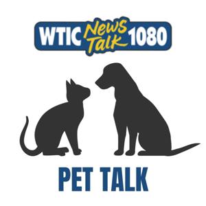 Pet Talk