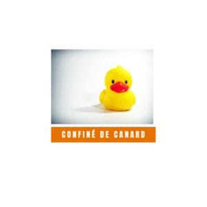 Confiné de Canard