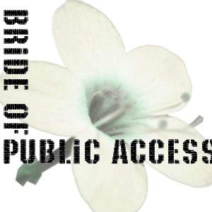 Bride of Public Access (video)