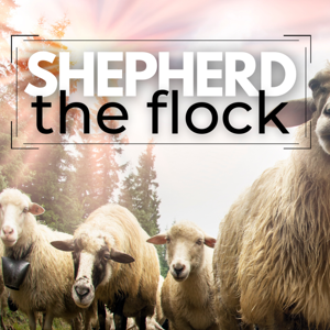 Shepherd the Flock 2022