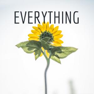 EVERYTHING