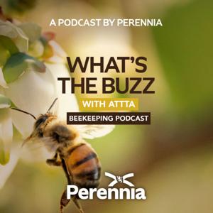 What’s the Buzz with ATTTA Beekeeping Podcast