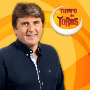 Tiempo de toros