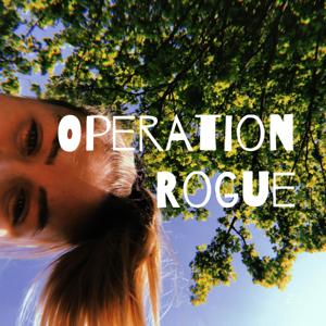 Operation Rogue