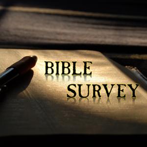 Twin Cities Grace Fellowship Bible Survey