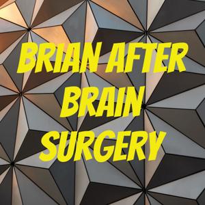 Brian After Brain Surgery