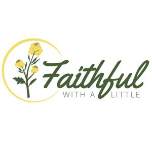 Faithful with a Little