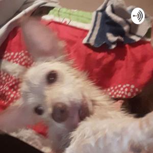 Alarma by yizleni Serna