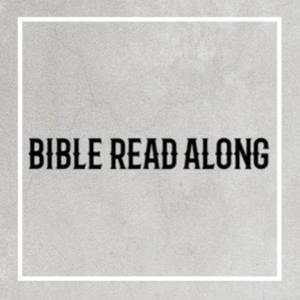 BIBLE READ ALONG