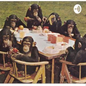 Chimp talk