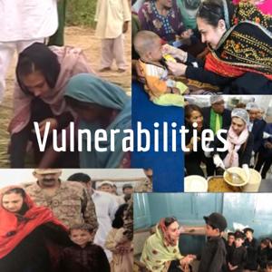 Vulnerabilities