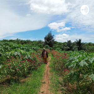 Podcast Materi Penyuluhan Pertanian Oleh Saprina Ismita