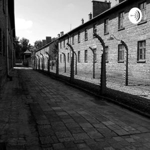 Poesía De La Catástrofe